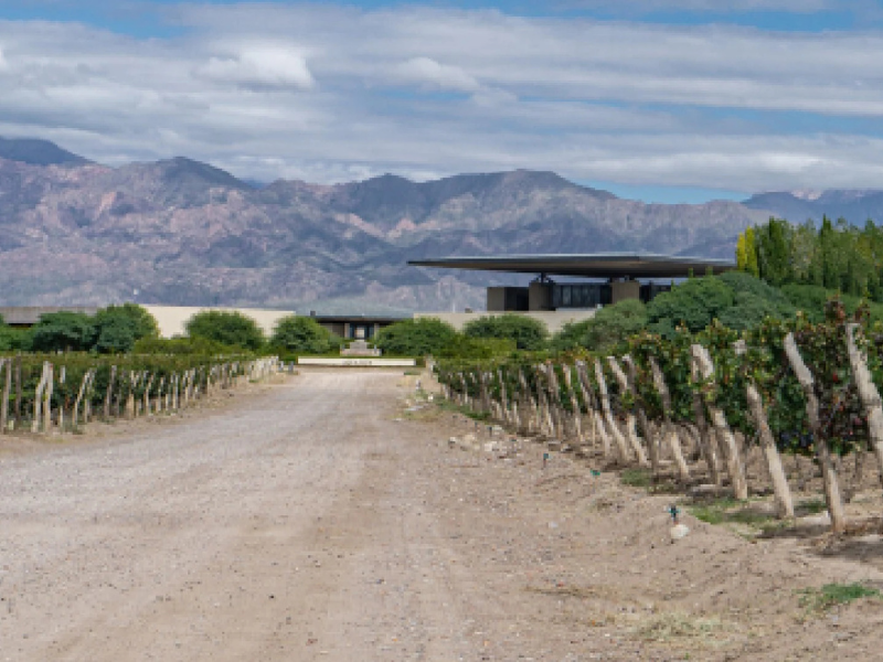 Bodegas