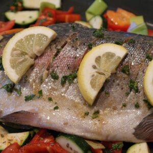 Salmon