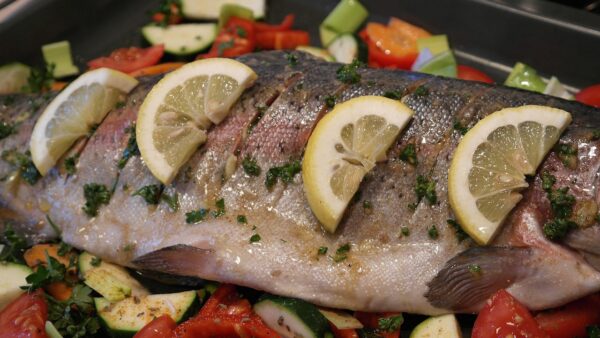 Salmon